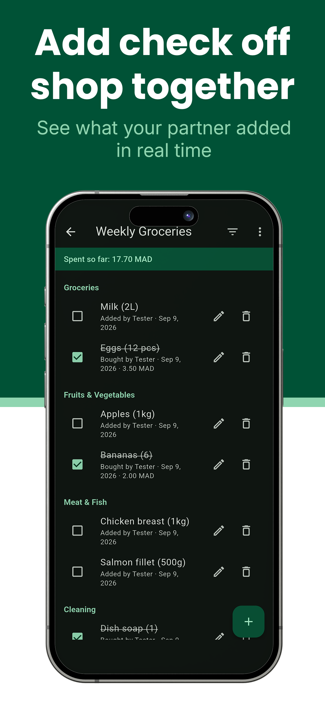 Shopping list items